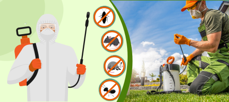 Emergency Pest Control Noble Park