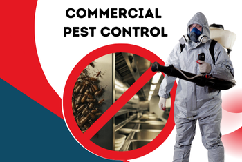 commercial pest control service image