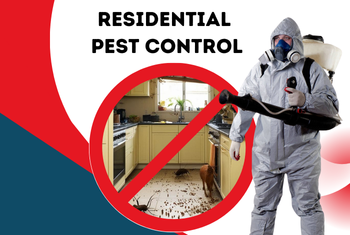 residential pest control service image